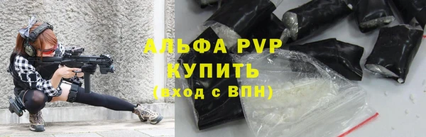 прущие грибы Бронницы