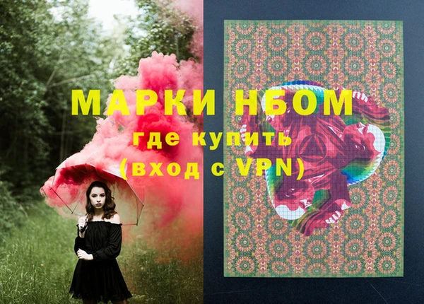 прущие грибы Бронницы