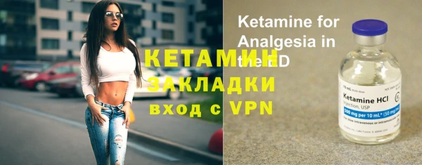прущие грибы Бронницы