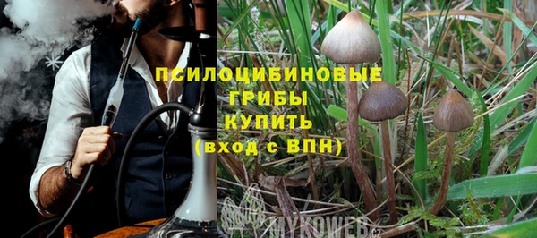 прущие грибы Бронницы
