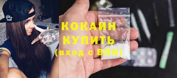 прущие грибы Бронницы