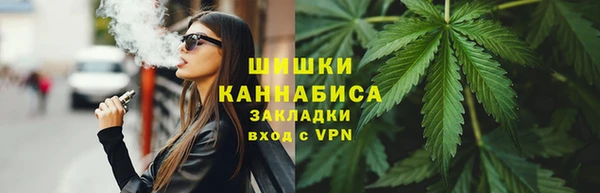 прущие грибы Бронницы
