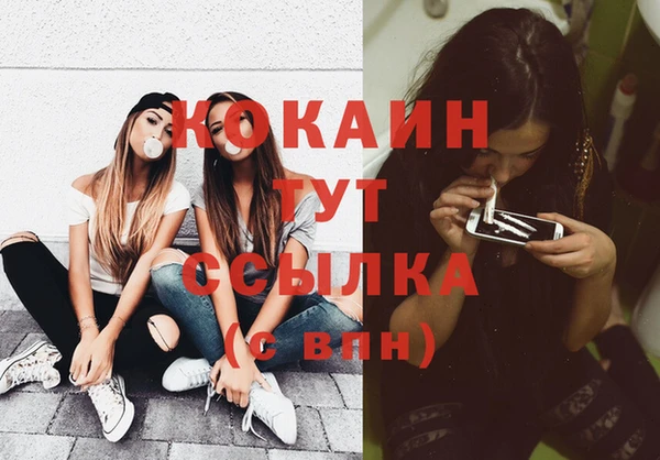 прущие грибы Бронницы