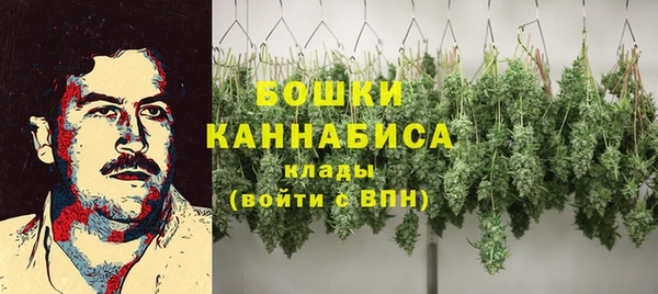 прущие грибы Бронницы
