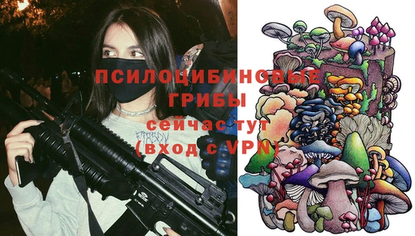 кристаллы Бородино